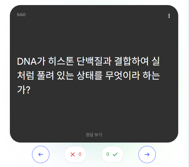 NotebookLM 플래시카드 화면